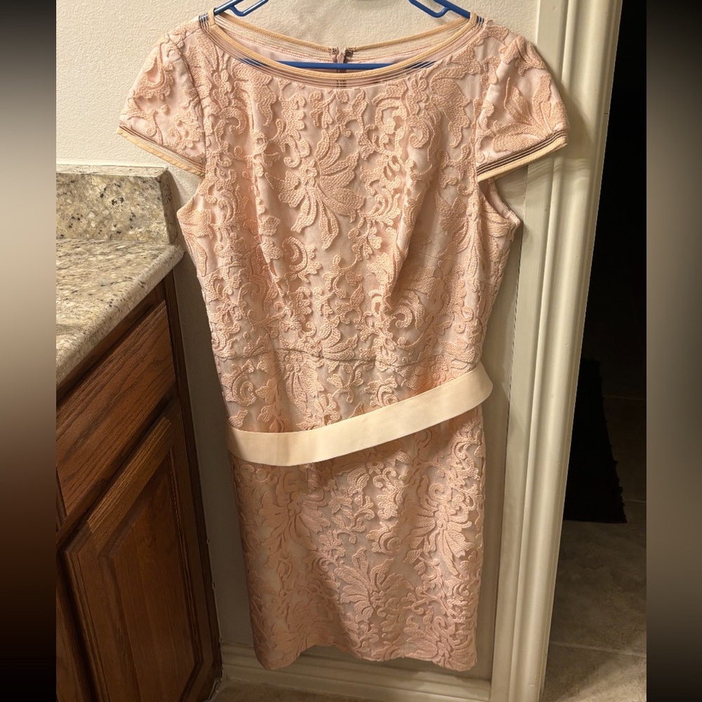 Tadashi Shoji Soft Pink Fabric